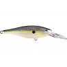 Helsinki Shad