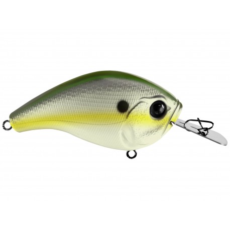 Olive Shad 