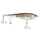 HD Rainbow trout