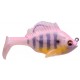 Pink Back Gill 