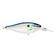 Gilded Helsinki Shad